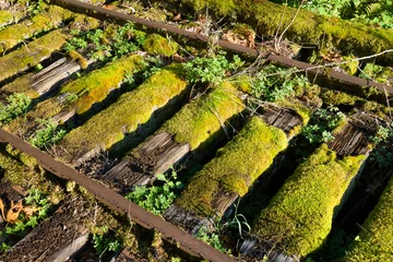 Stickers pour porte Chemin de fer Moss covered wooden railway sleepers on disused abandoned railroad track