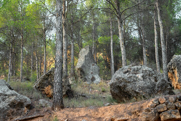 Rock formations among the trees, some looking like menhirs, in the forest of La Muela mountain in Rincón de Ademuz on the Iberian Peninsula