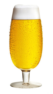 ta&ccedil;a de vidro suado com cerveja gelada com espuma isolado em fundo transparente - chope gelado com espuma
