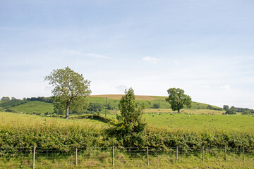 Fototapeta na wymiar Radnor hills in the Summertime.