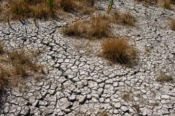 Global warming, desertification, dry and cracked soil due to lack of water.