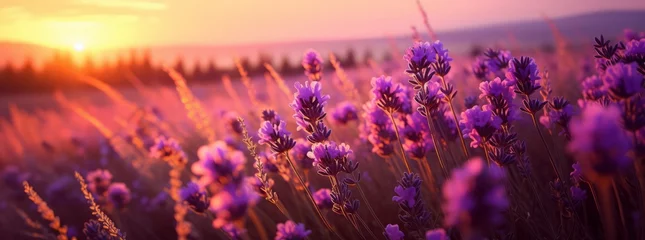 Fotobehang Lavender flowers landscape with sky and sunset. Natural fresh Lavender. Photo texture. Horizontal banner. Ai generated © Magiurg