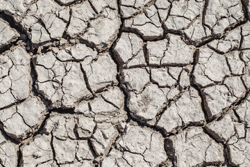 Dry cracked land ground, close-up, top view, at day