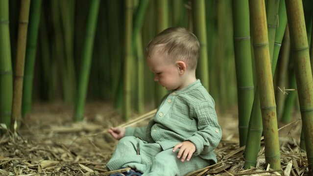 portrait of a boy child sitting on the ground next to the bamboos and playing with dry leaves.