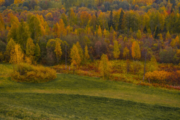Beautiful autumn landscape of nature