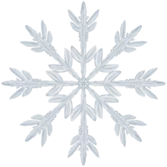 Fotobehang Ilustraci√≥n de copo de nieve en forma de dentritas estelares, navidad, invierno © Santy Valdes
