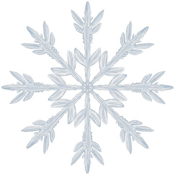 Ilustraci√≥n de copo de nieve en forma de dentritas estelares, navidad, invierno