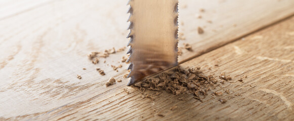 metal band saw cut wood oaks plank with shavings.
