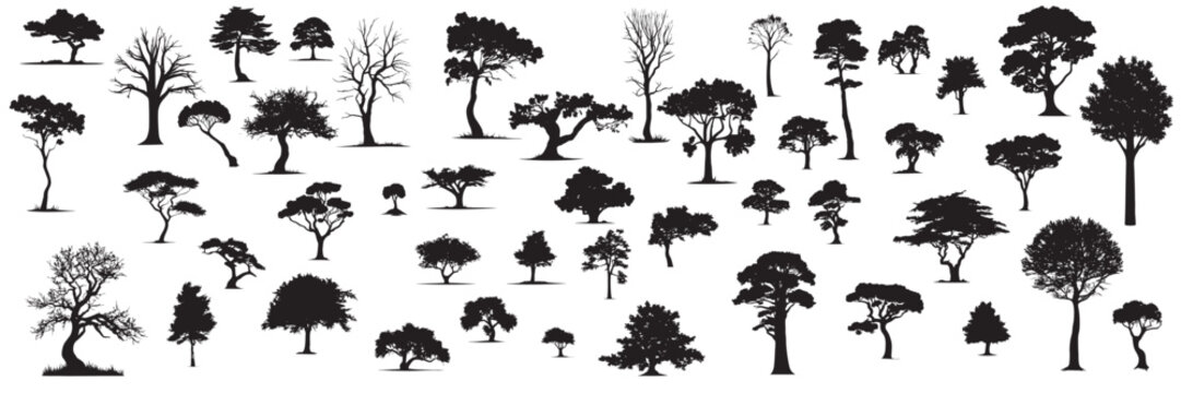Large collection of trees silhouette with leaves. Leaves tree silhouette isolated on white background. Vector illustration.