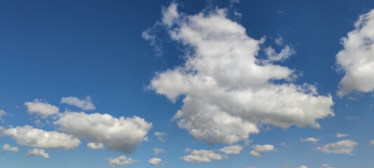 Obraz premium Small clouds in the blue sky. Low cumulus white clouds hang in the blue sky. They have different shapes and sizes. The clouds are white above and slightly gray below due to the lighting.