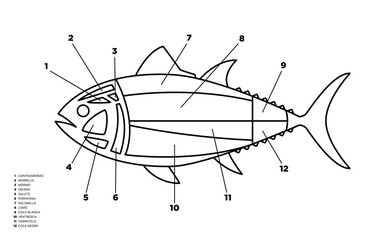 Line Tuna Cuts diagram (ronqueo). Parts of tuna written in Spanish.