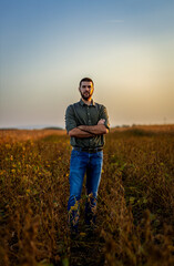 Naklejka na ściany i meble Portrait of young farmer standing in a soy field at sunset looking at camera..