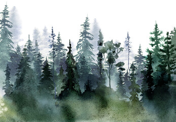 Watercolor foggy forest landscape illustration. Wild nature in wintertime.  Abstract graphic isolated on transparent background - obrazy, fototapety, plakaty