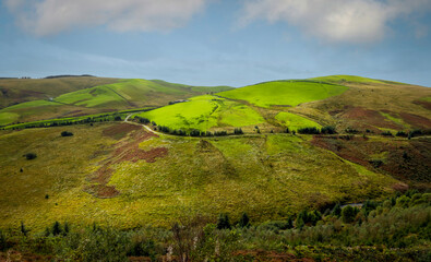 The lush green fields of the Cambrian Mountains in Mid Wales UK as Autumn colours start to take a hold.