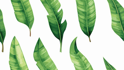 Tropical banana leaves set isolated on transparent background, PNG. Watercolor illustration.