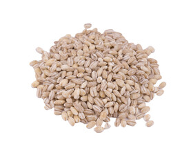 a small pile of barley grains