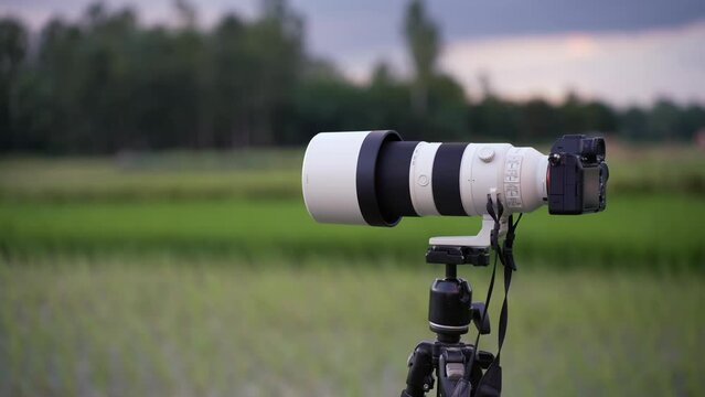 A 200-600mm zoom lens with camera on stand ready for shooting. This versatile lens is perfect for wildlife, sports, travel, nature, and landscape photography.