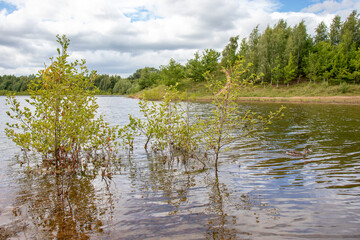 Lake in the autumn
