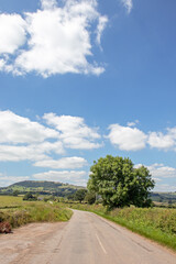 Fototapeta na wymiar Summertime countryside in the UK.