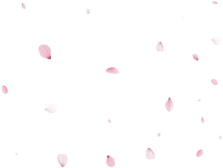 Realistic Sakura Petals.