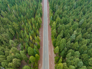 A lonely road leads through a seemingly endless forest in the Pacific Northwest. © ead72