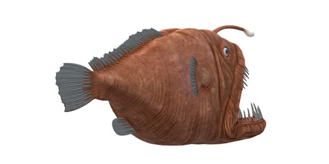 Angler Fish isolated on a Transparent Background