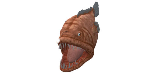 Angler Fish isolated on a Transparent Background