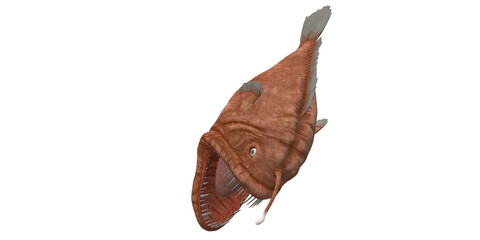Angler Fish isolated on a Transparent Background
