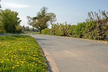 Road in the countryside