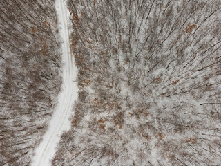 Top view of a winter forest. with a road in the middle of trees - 652502677