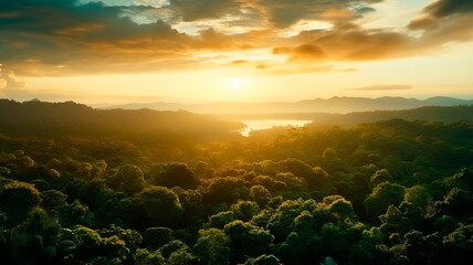 Fototapeta na wymiar sunrise over the jungle and river. summer sunset
