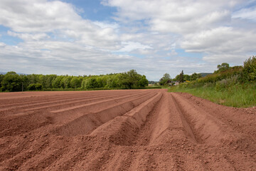 Ploughed fields in the UK.