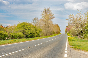 Road in the countryside