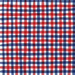 Red Navy Blue Gingham Check Hand Drawn Background