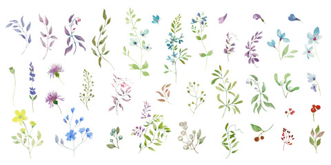 Watercolor floral  set. Hand drawing illustration isolated on white background. Vector EPS. - obrazy, fototapety, plakaty