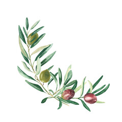 Olive branches bouquet, corner with green and red olives isolated on white background. Watercolor hand drawn botanical illustration. Can be used for cards, menu, logos, cosmetic, food packaging design
