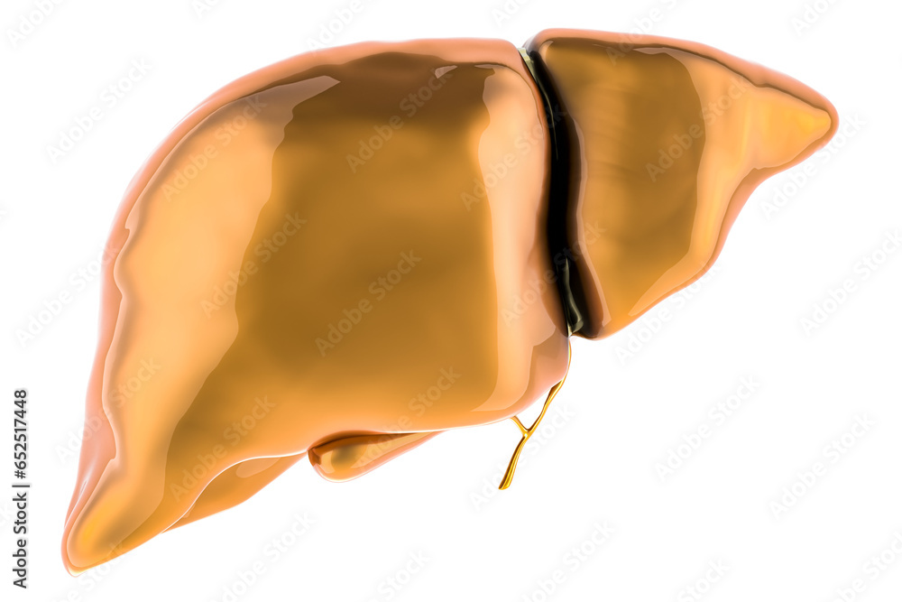 Poster golden liver, 3d rendering isolated on transparent background