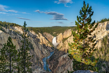 Fototapeta na wymiar Lower Falls in Yellowstone National Park