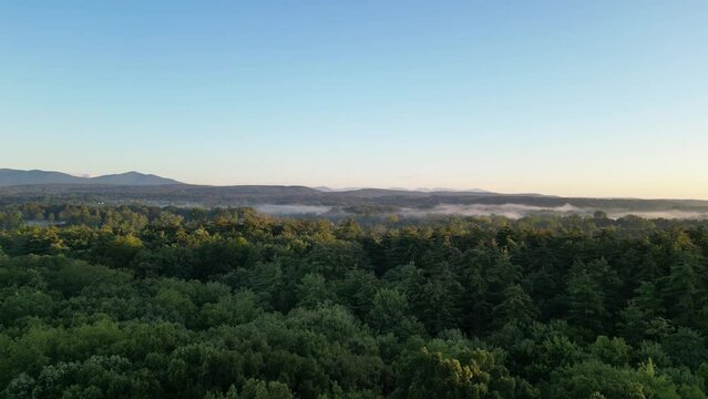 mountain view with mist on a clear morning sunrise (dawn at catskill mountains, hudson valley, upstate new york, forest landscape)