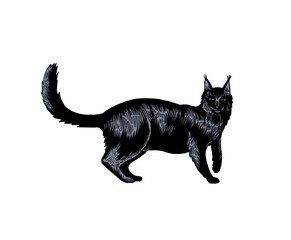 Black cat. Ink drawing of horror gothic symbol.