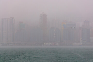 Fog and rain over modern high rise buildings in Hong Kong's Victoria Harbor - obrazy, fototapety, plakaty