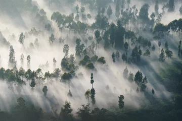 Foto op Canvas mount Bromo in the fog © Didik
