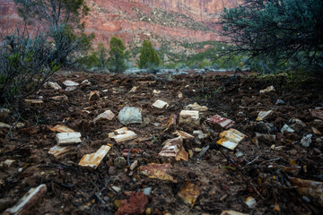 Petrified Wood Chips Along Chinle Trail In Zion