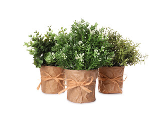 Artificial potted herbs on white background. Home decor