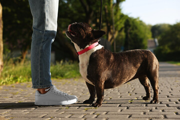 Woman walking with cute French Bulldog outdoors, closeup