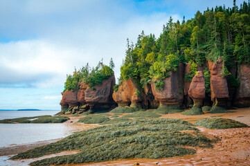 Flowerpots at low tide, Hopewell Rocks Provincial Park, Bay of Fundy, New Brunswick, Canada. Photo...