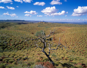 Millstream National Park in the Hamersley ranges, Western Australia..