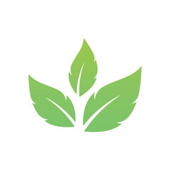 Green leaf logo. Garden, plants and nature vector design. Concept illustration vector template
