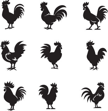 Rooster Vector silhouette illustration