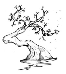 Healthy and beautifully blooming bonsai trees